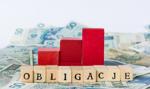 Co to jest rentowność obligacji i jak ją obliczyć?