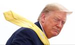 Trump na wojnie z wiatrakami. USA blokują umowy pod farmy na Atlantyku