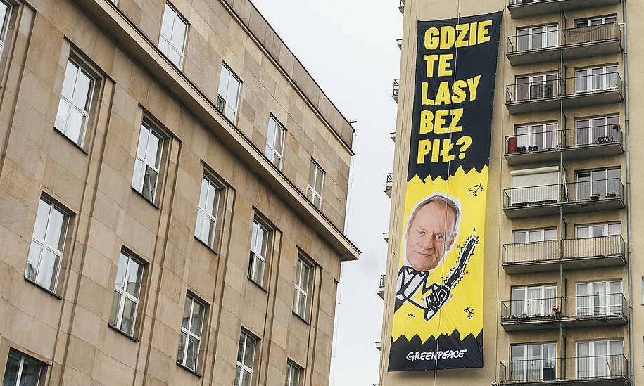 „Gdzie te lasy bez pił?”. Greenpeace wywiesza baner z Tuskiem i rozlicza rząd z obietnic