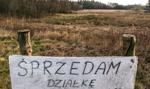 GUS: ożywienie na rynku działek. Polacy w rok wydali na nieruchomości 145 mld zł