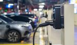 Elektryki z rekordem nie do pobicia? Nawet co piąte nowe auto w Polsce na prąd