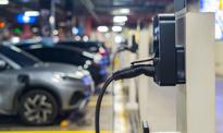 Elektryki z rekordem nie do pobicia? Nawet co piąte nowe auto w Polsce na prąd