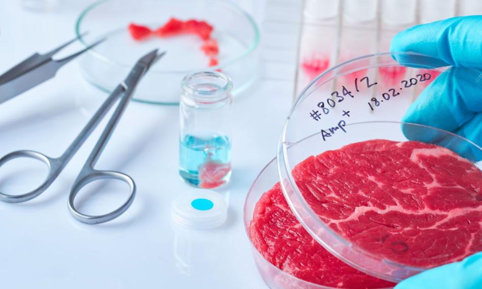 LabFarm rozpoczyna kolejny etap produkcji "mięsa z probówki"