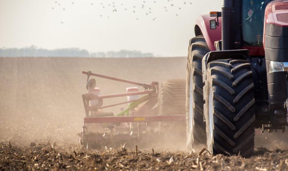 Holenderscy rolnicy protestują przeciw projektowi ograniczenia emisji tlenku azotu