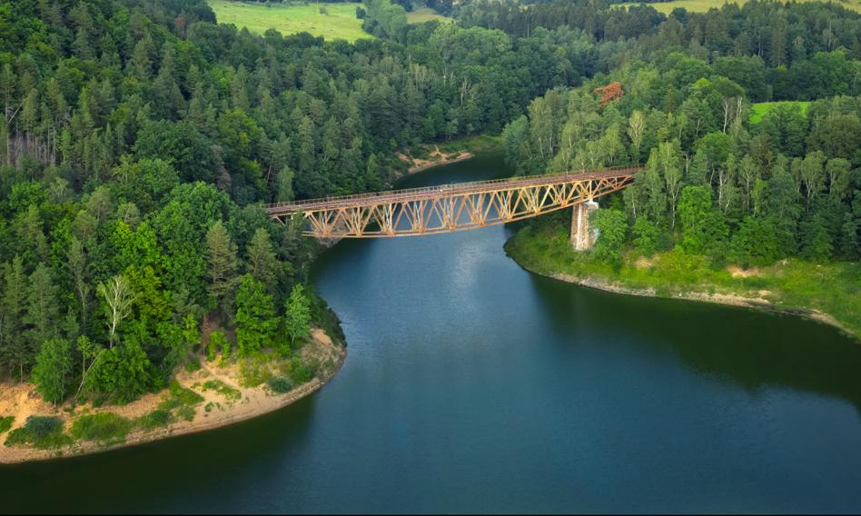 Zakaz kąpieli i połowów na Bobrze – kilkanaście ton martwych ryb w Pilchowicach