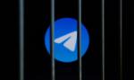 WhatsApp i Telegram zablokowane. Rosja ograniczyła działanie komunikatorów internetowych