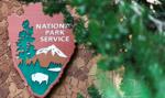 „Ceny America-first”. Drastyczne podwyżki dla obcokrajowców w parkach narodowych USA