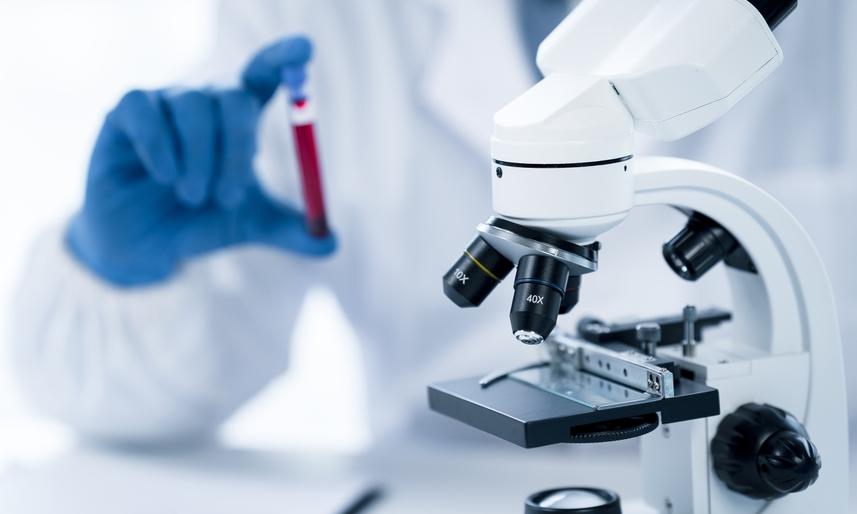 Selvita ma zlecenie o wartości ok. 9,8 mln zł dot. optymalizacji związku głównego