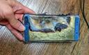 Nie tylko Samsung. Te firmy też miały problemy z wybuchającymi bateriami