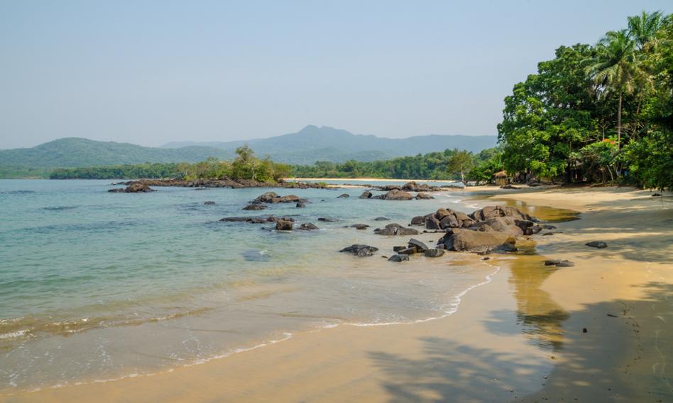 Chiny zbudują port w miejscu lasu deszczowego w Sierra Leone