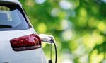 Auta na prąd tracą moc. Tyle trzeba zapłacić dziś za elektryka bez dopłat