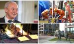 Wzrosty, spadki, dywidendy - giełdowe NAJ 2016 roku