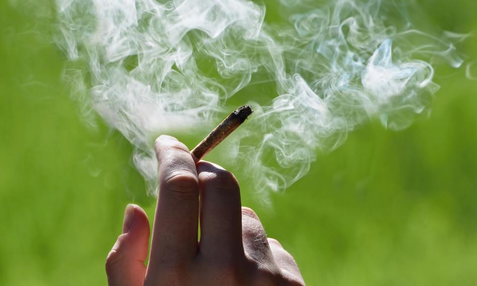 Lewica: marihuana powinna być w Polsce legalna