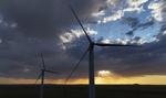 "Skończmy z rozmowami o zagrożeniach". Energetyka wiatrowa nie ma czasu do stracenia