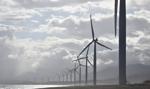 Grenevia kupiła pakiet ok. 75 proc. akcji Total Wind PL