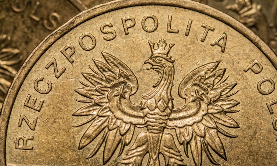 Czeka nas euro po 5 zł? Już prawie nikt nie wierzy w istotne umocnienie złotego w 2023 roku