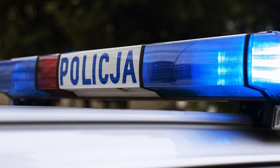 Mafia śmieciowa w kajdankach. Policja zatrzymała sześć osób