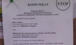 Rekin z rtęcią w dyskoncie? Zobacz, co się należy