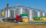 Kernel sprzedał 411 tys. ton oleju w II kw. 2025/2026