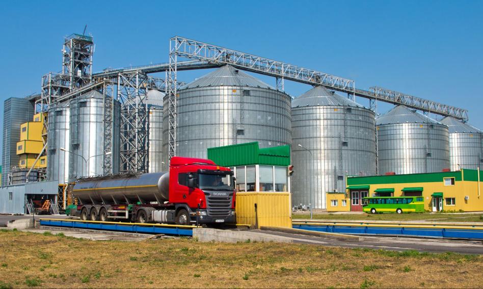 Kernel sprzedał 411 tys. ton oleju w II kw. 2025/2026