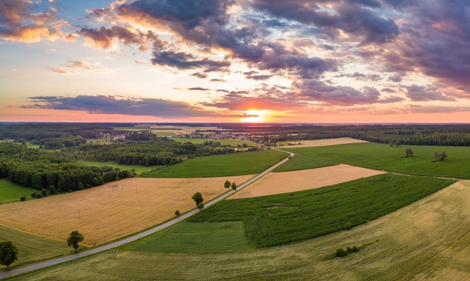 Wiadomości z 29 lipca, które mogą namieszać w portfelach [To był dzień]