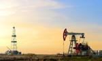 Ropa naftowa w Europie drożeje w środę rano