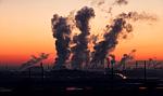 Węgiel wraca do łask w Holandii. Wzrost produkcji napędzają ceny energii