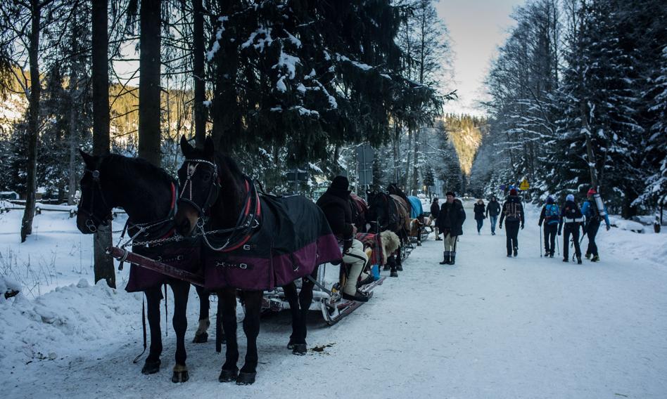 Tłumy turystów nad Morskim Okiem