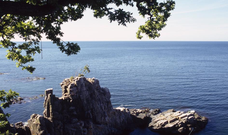 Loty na Bornholm odwołane. W Danii pracownicy lotniska ogłosili strajk