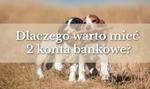 Dlaczego warto mieć więcej niż jedno konto w banku? Przeczytaj, zanim będzie za późno