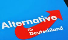 Poparcie dla AfD pokrywa się z NSDAP z 1933 roku. Szokujące badanie naukowców