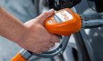 Auto z LPG znów "w gazie". Te modele Polacy "gazują" najczęściej