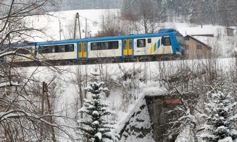 Koniec z drzewami na torach. Rząd wraca do 15-metrowego pasa wycinki