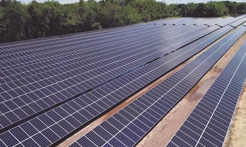 PGE Energia Odnawialna zakończyła budowę dwóch farm fotowoltaicznych na Podlasiu