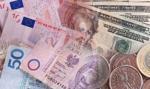Złoty słabnie w oczach. Efekt koronawirusa i NBP