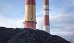 Niemcy zapowiadają przejściowy powrót do węgla w razie braku gazu