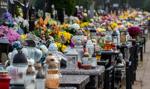 Znicze, kwiaty i dojazdy podbijają koszty. Nawet 1000 zł wydatków na Wszystkich Świętych