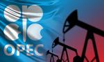Ropa drożeje po zapowiedziach OPEC+ o cięciu produkcji
