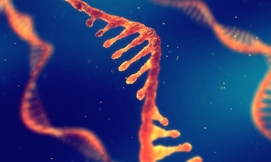 Eksperci: Szczepionki mRNA bezpieczne, nie modyfikują DNA