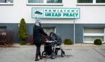 Bezrobocie już poniżej 3 proc., zaskakujący spadek