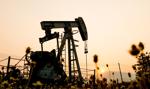 Ceny ropy w USA w dół, produkcja w OPEC niższa, ale zapasy ropy w USA rekordowe