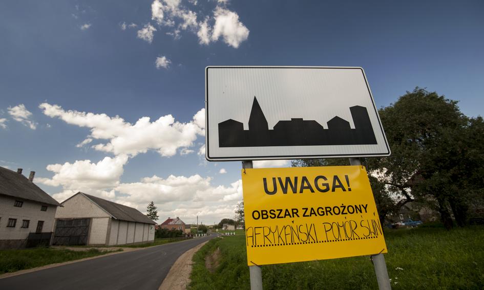 Rolnicy mogą ubiegać się o pomoc w związku z wystąpieniem ASF