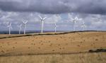 Chińczycy zainwestują 1,3 mld zł w elektrownie wiatrowe w Polsce