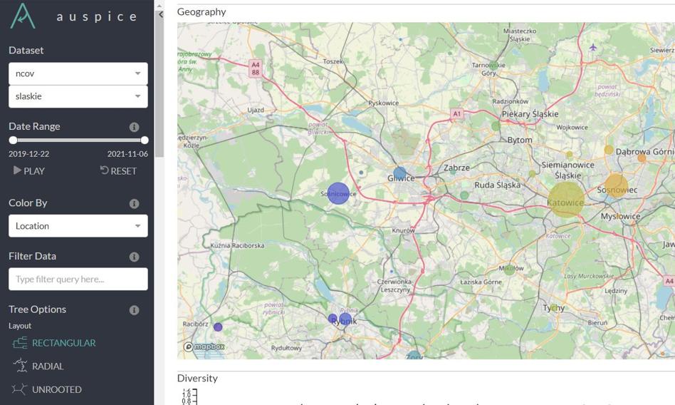 Powstała mapa wariantów koronawirusa w woj. śląskim