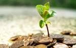 Ranking lokat Bankier.pl – grudzień 2012 r.