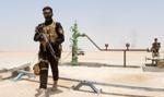 Blokada cieśniny Ormuz dusi gospodarkę. Irak ratuje Europę historycznym szlakiem