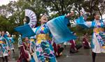 Japonia – kraj porządku i chaosu