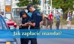Jak zapłacić mandat? Poradnik krok po kroku