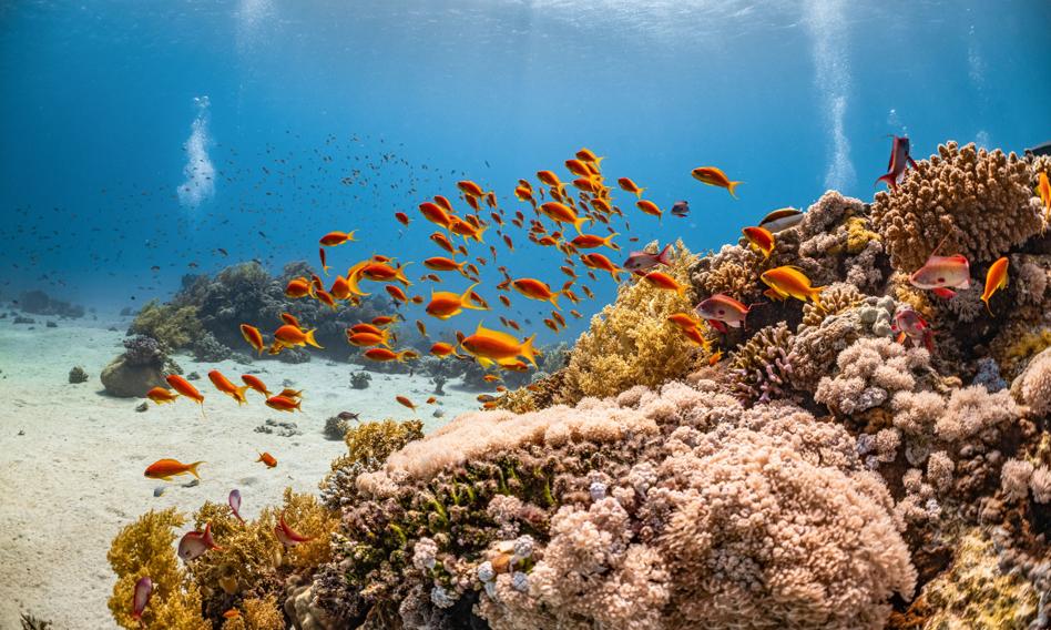 Temperatura oceanów od roku codziennie bije rekordy, a to może nasilić ekstremalne (i niebezpieczne) zjawiska pogodowe