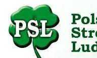 Piechociński: PSL proponuje wielką koalicję centrum